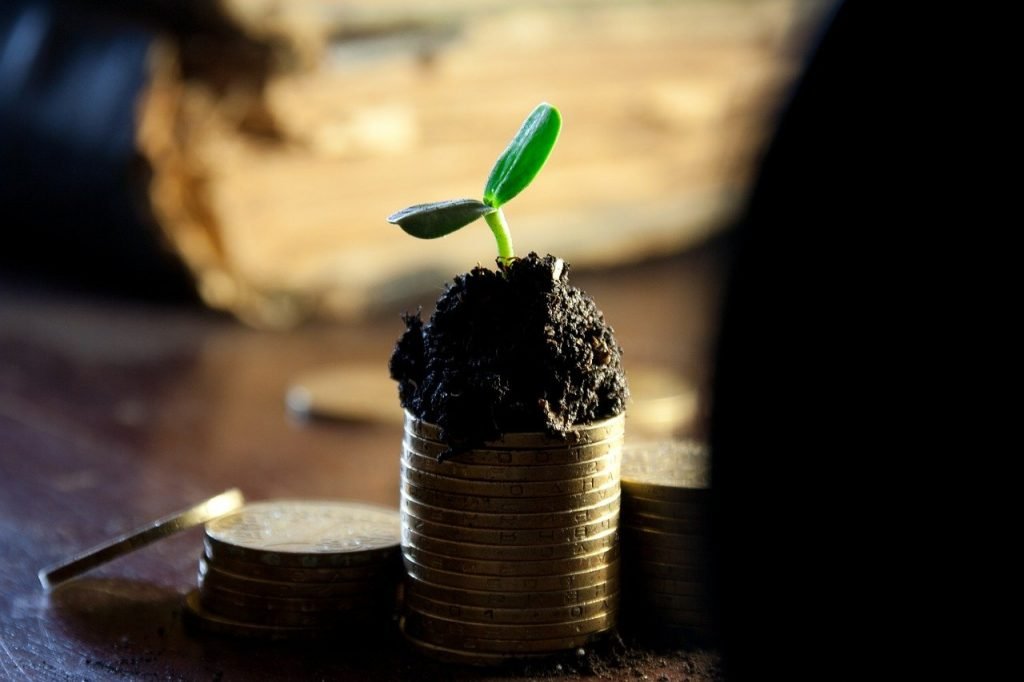 Een stapel met munten met aarde en een plantje erop