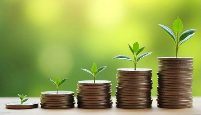 Hoeveel moet je per maand investeren om FIRE te bereiken?